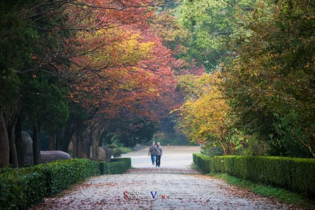 一到秋天南京就成了金陵,一入秋南京就成了金陵