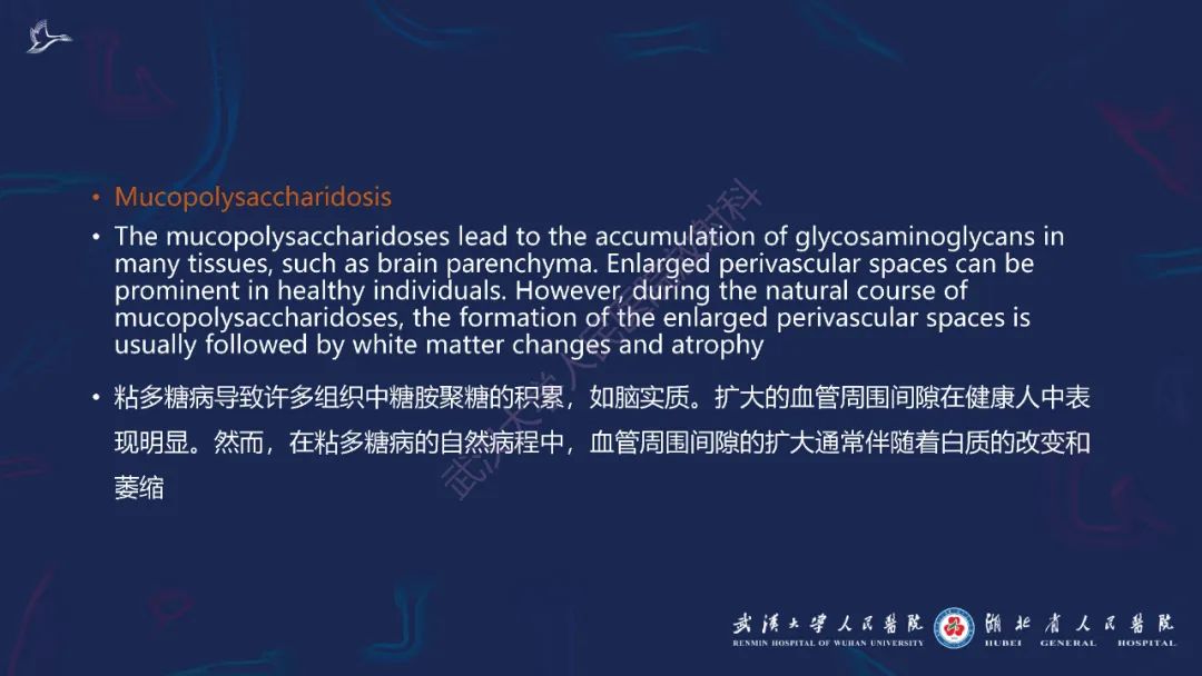 胼胝体肿瘤影像鉴别,胼胝体病变影像诊断