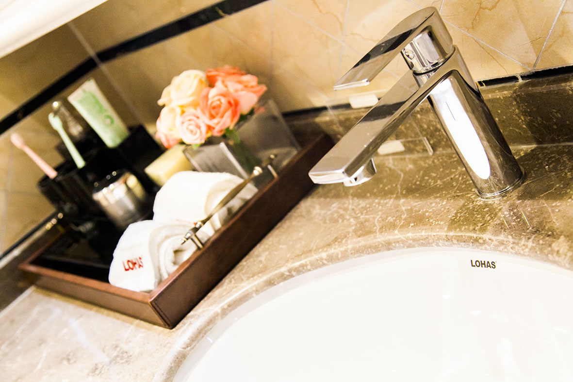 乐豪斯装修风格,德国豪斯风格装修