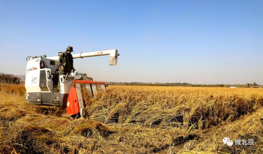 天津市北辰区20项民心工程,北辰区2024年20项民心工程立项