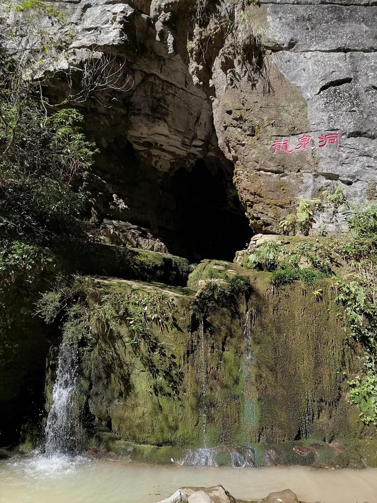 重庆武隆天坑三桥旅游一日游,重庆武隆天坑旅游详细攻略