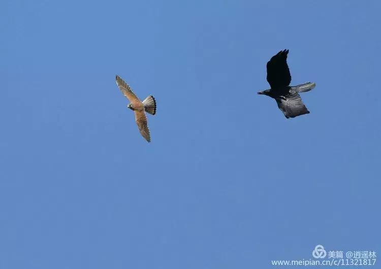 天坛最近发生什么事,北京天坛现在的状况