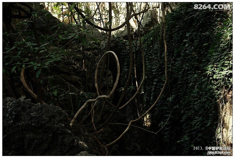 黄果树景区天星桥有没有必要去,贵州黄果树天星桥景区人山人海