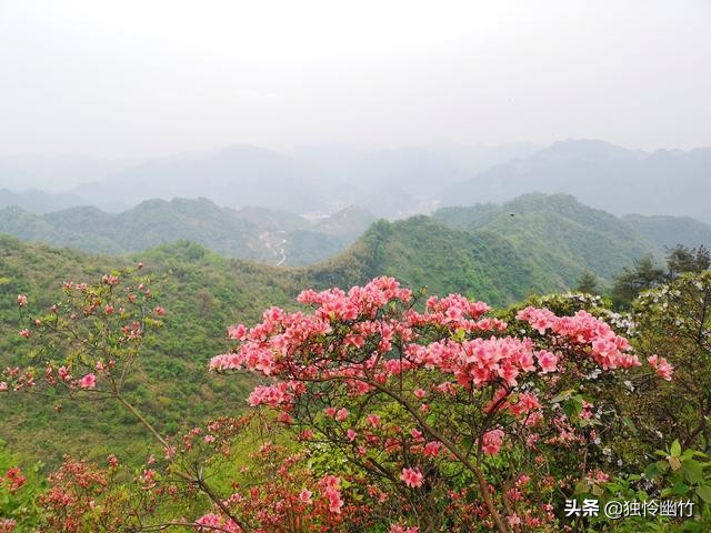 分享摄影爱好者的视频,学摄影如何少走弯路