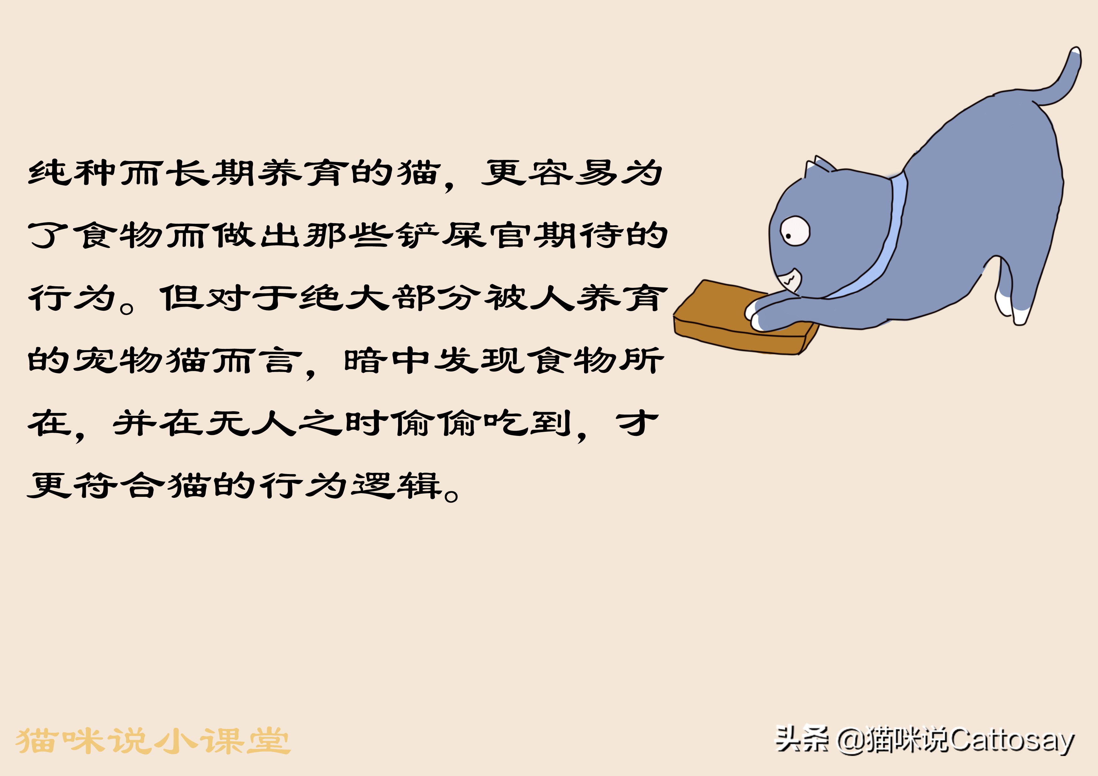 怎么训练猫咪才会让猫咪说话,夸猫怎么夸