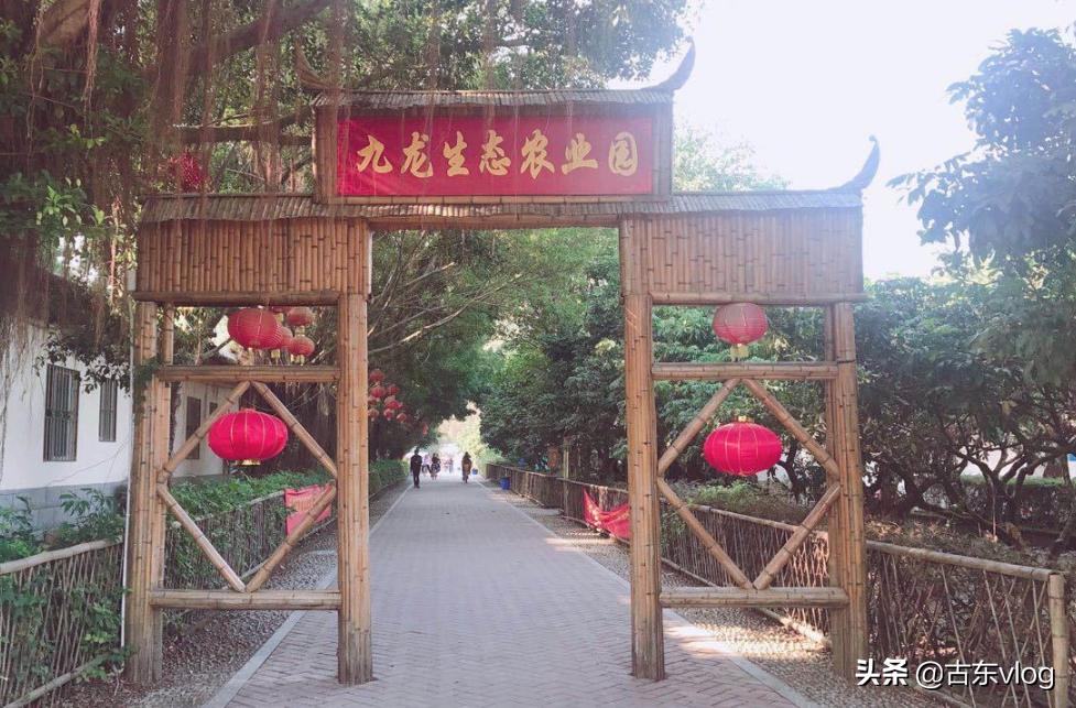 九龙生态农业园怎么样,九龙生态园