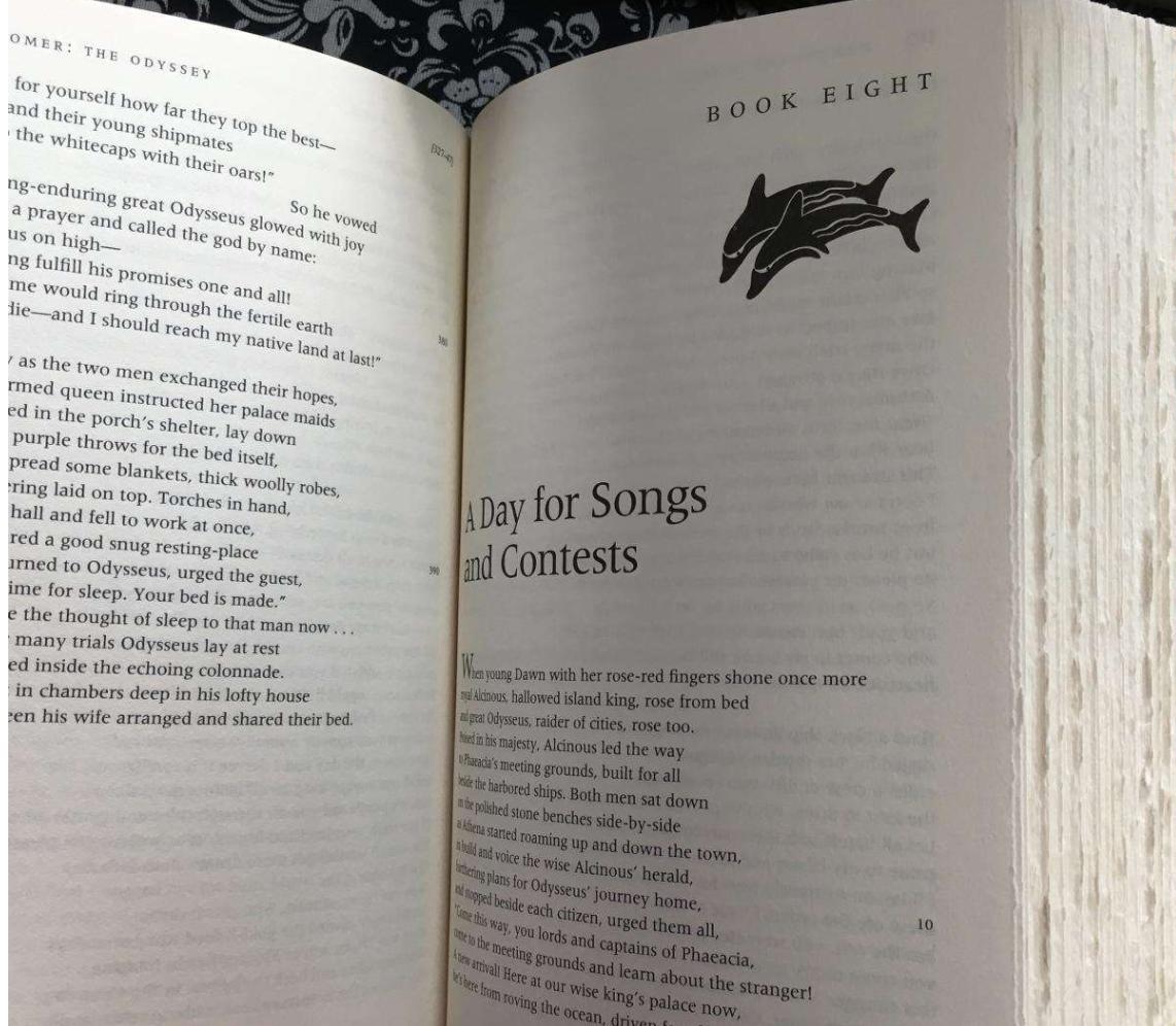 欧拉数学之王完整版,数学大师欧拉的传奇一生