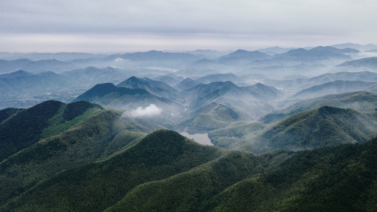 宿在德清凯悦嘉轩，感受大自然美好馈赠