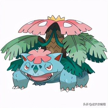 妙蛙种子不开花,妙蛙种子秘籍