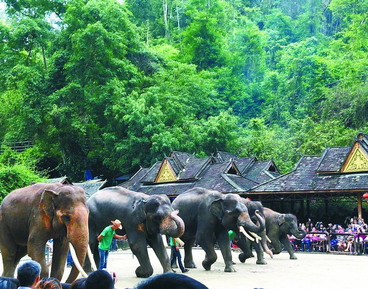 博悦旅游,云南西双版纳博悦