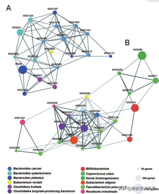 肠道菌群与痛风,肠道和痛风有什么关系