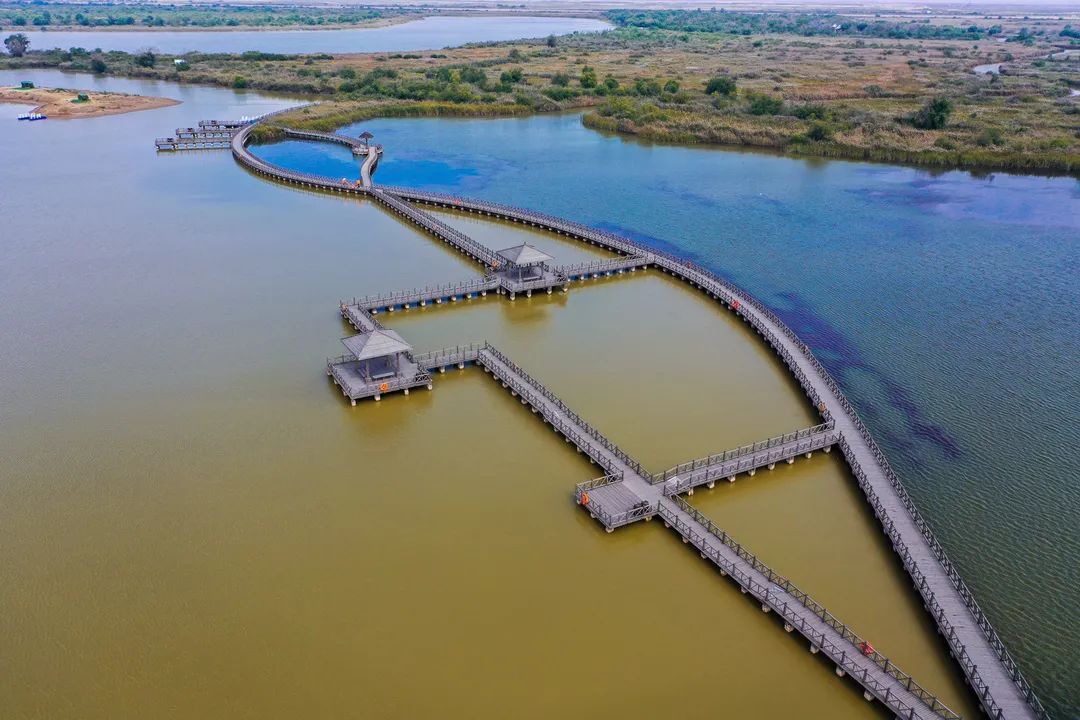 山东东营位置,这就是东营