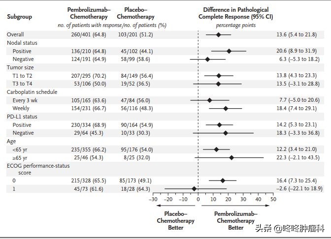 肿瘤治疗进入“全民免疫”时代！术后患者也可使用，完全缓解率暴涨