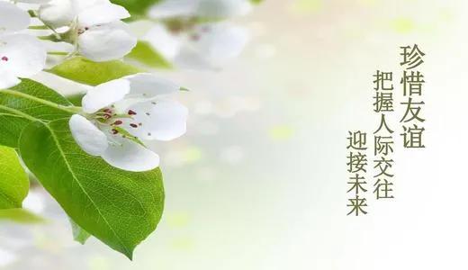 学生如何处理同学矛盾的正确方法,如何引导孩子处理同学间的矛盾