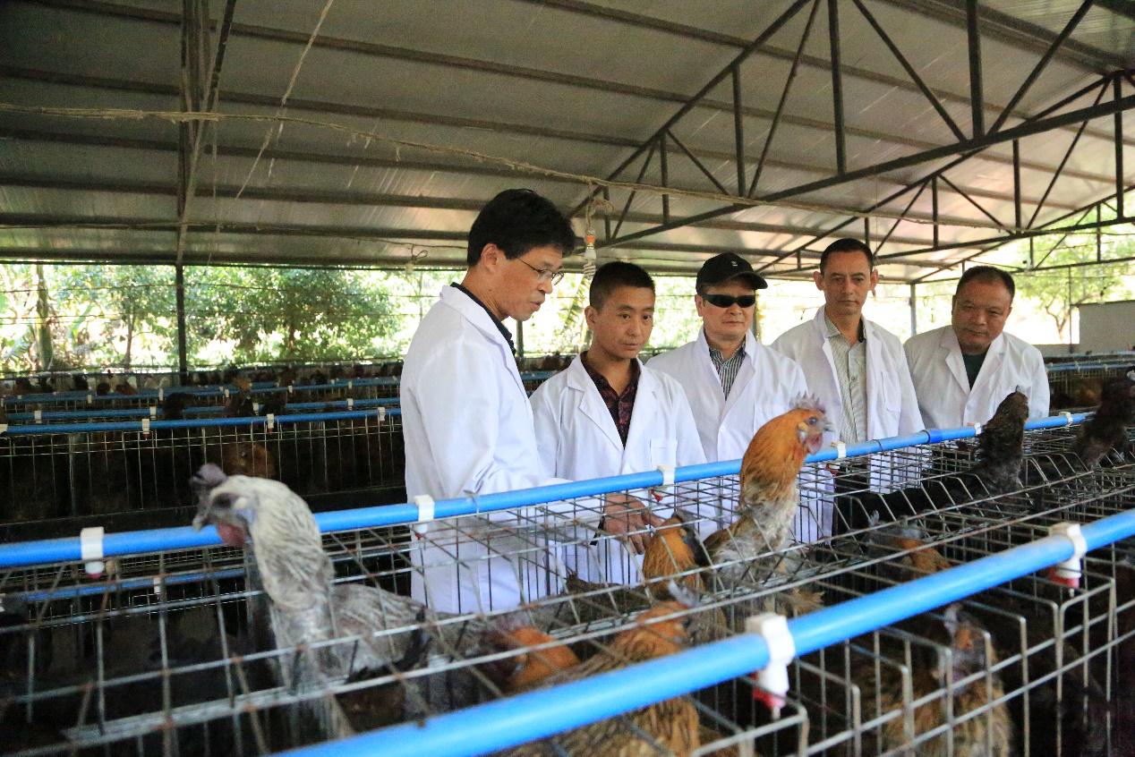 用心用情用力浙江代表热议,用心用力用情