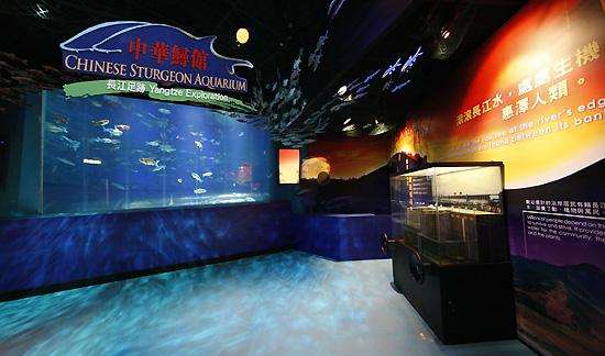 香港海洋公园现在盈利吗,香港海洋公园现在情况