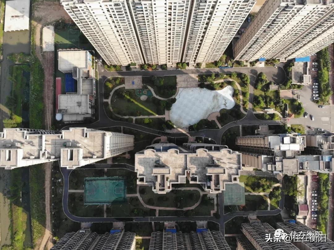 鉴盘②丨碧桂园入衡首盘,五星级的家兑现了吗?