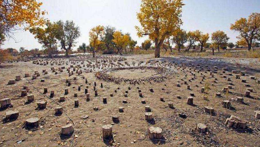 若羌罗布泊旅游攻略,罗布泊之旅最近的计划