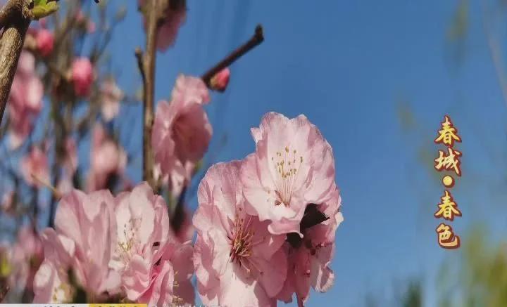 长春百花园游玩攻略,长春的百花园冬天的景色