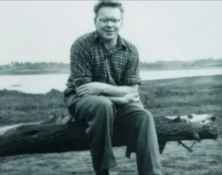 游隼自立飞行,游隼闭着翅膀飞