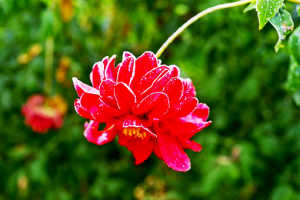 个性签名简短精辟句子大全,盘点那些精辟犀利的个性签名