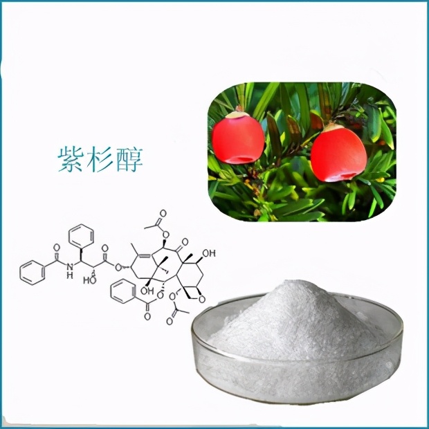 肺鳞癌术前新辅助化疗的应用时间,鳞癌化疗指南