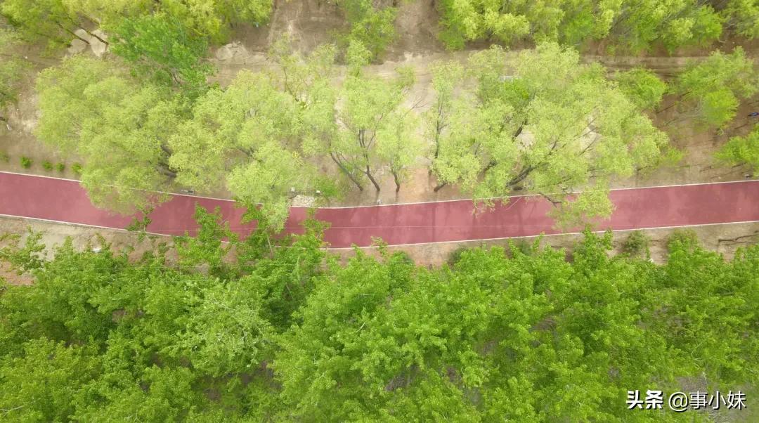 秦皇岛最大公园最新消息,秦皇岛最长体育公园在哪儿