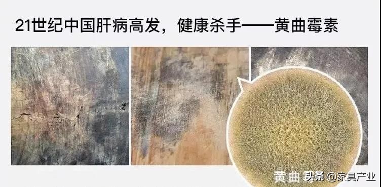 南方人家里一年四季都在发霉？这份除霉秘籍快收好