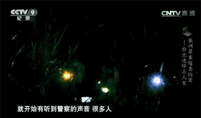 人间悲剧背后的真相让人痛心,你看过哪些虐心的案子