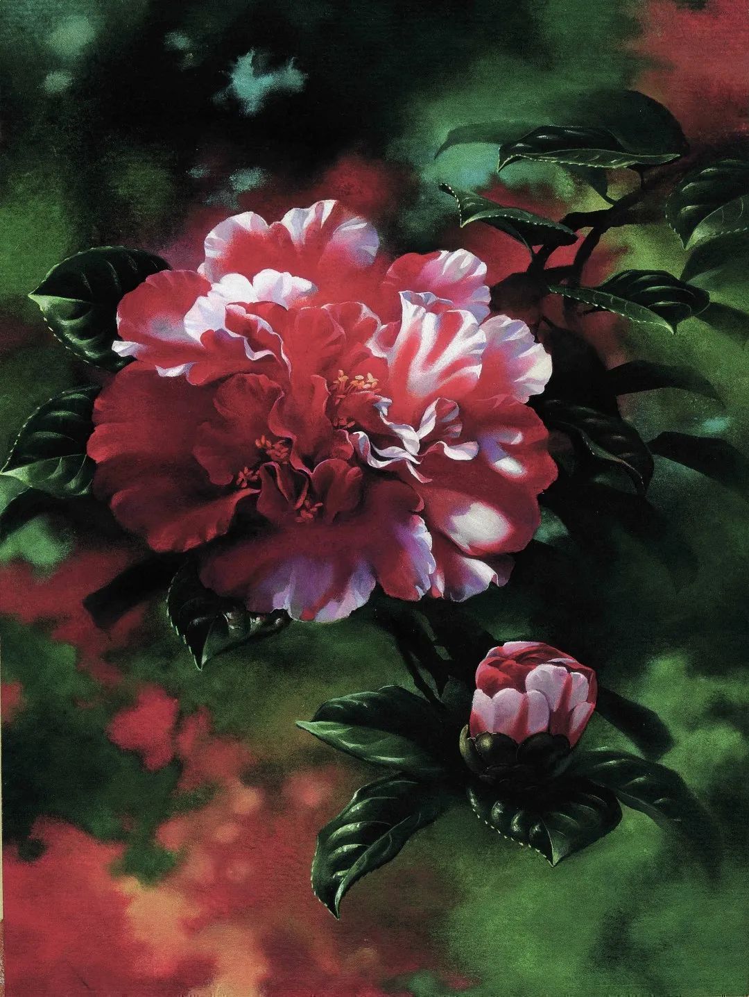 濒危稀有植物绘画,八大濒危珍稀植物