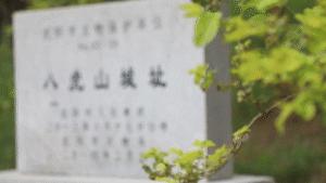 法库在哪儿？没来过好遗憾！乐游辽宁不虚此行