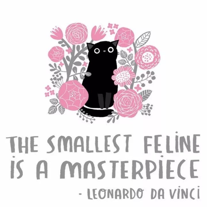 姑娘1天画1只猫坚持了100天 (坚持画猫100天的姑娘太有才了)