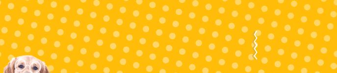 猫咪突然四肢不协调一条腿瘸了,猫咪四肢突然发直然后软