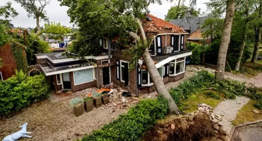 荷兰夏天热最高气温,荷兰气候凉爽