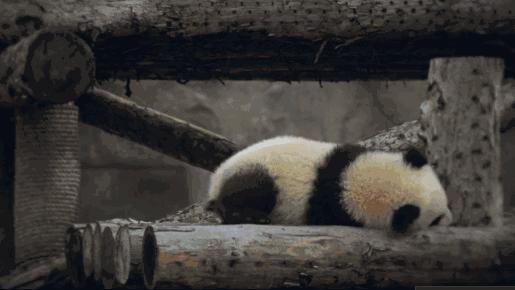 关于“功”的易混点解读及易错题练习,内容丰富,值得学习