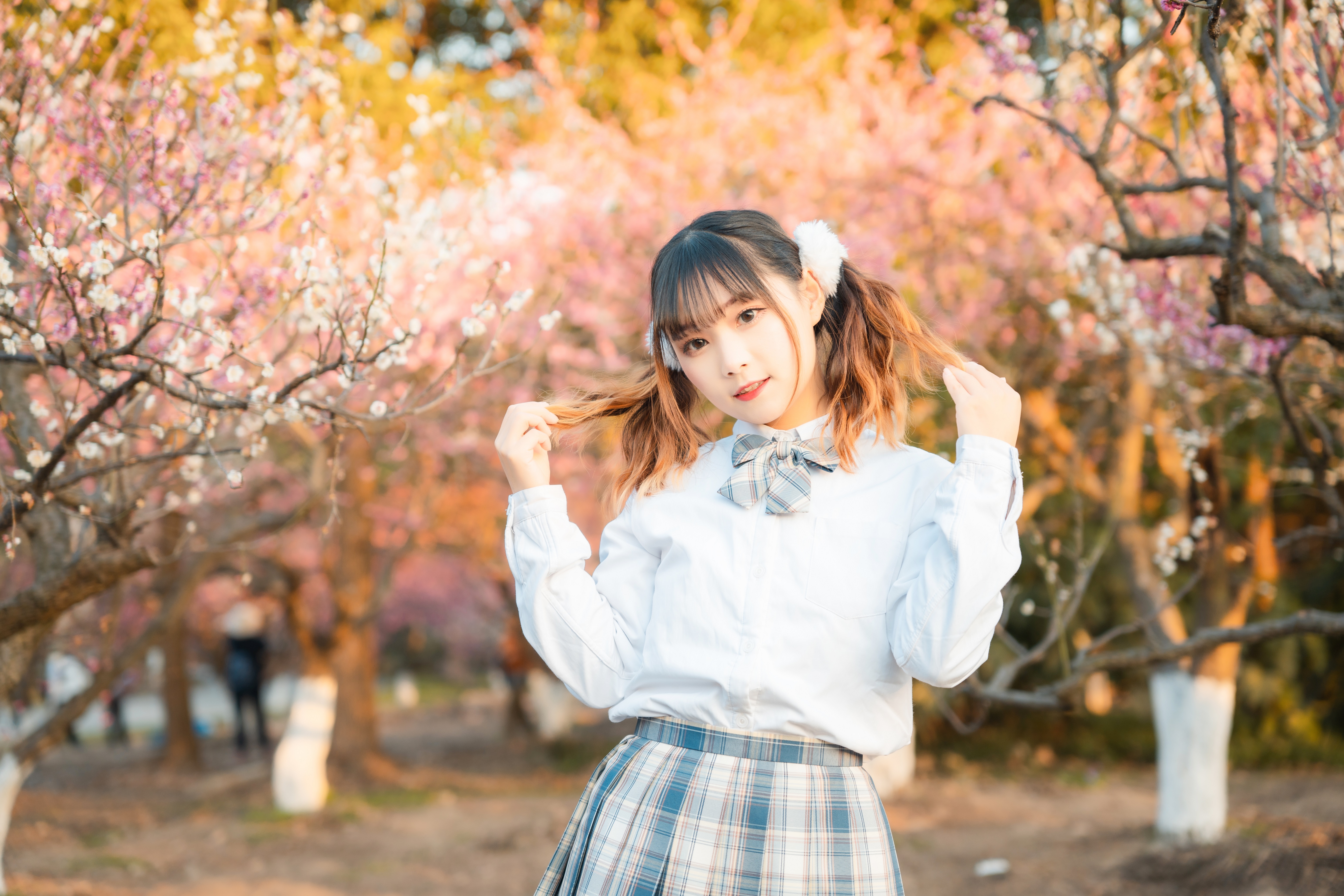 适马24-702.8二代镜头测评,适马新出的24-702.8镜头怎样