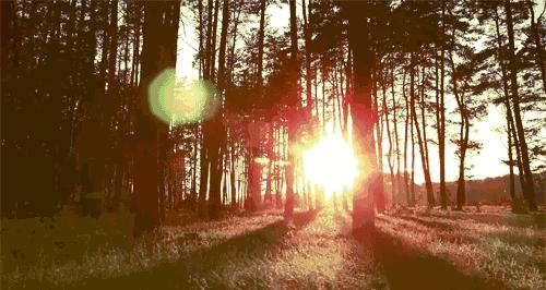 最新发明晴雨两用伞,防晒雨伞的最新发明