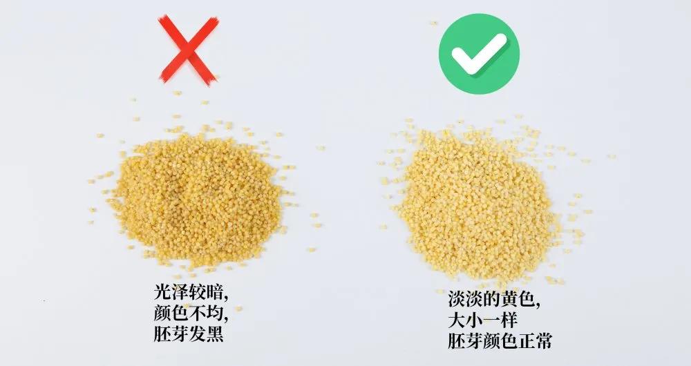 黄小米N+1种网红吃法,专治夏季没胃口