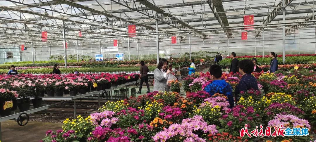 2024先进基层党支部申报事迹材料,2024年先进党支部事迹材料