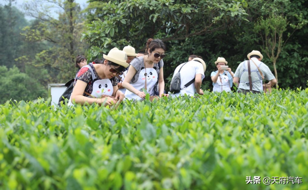 狮意生活,东风标致508l驾趣和驾控版