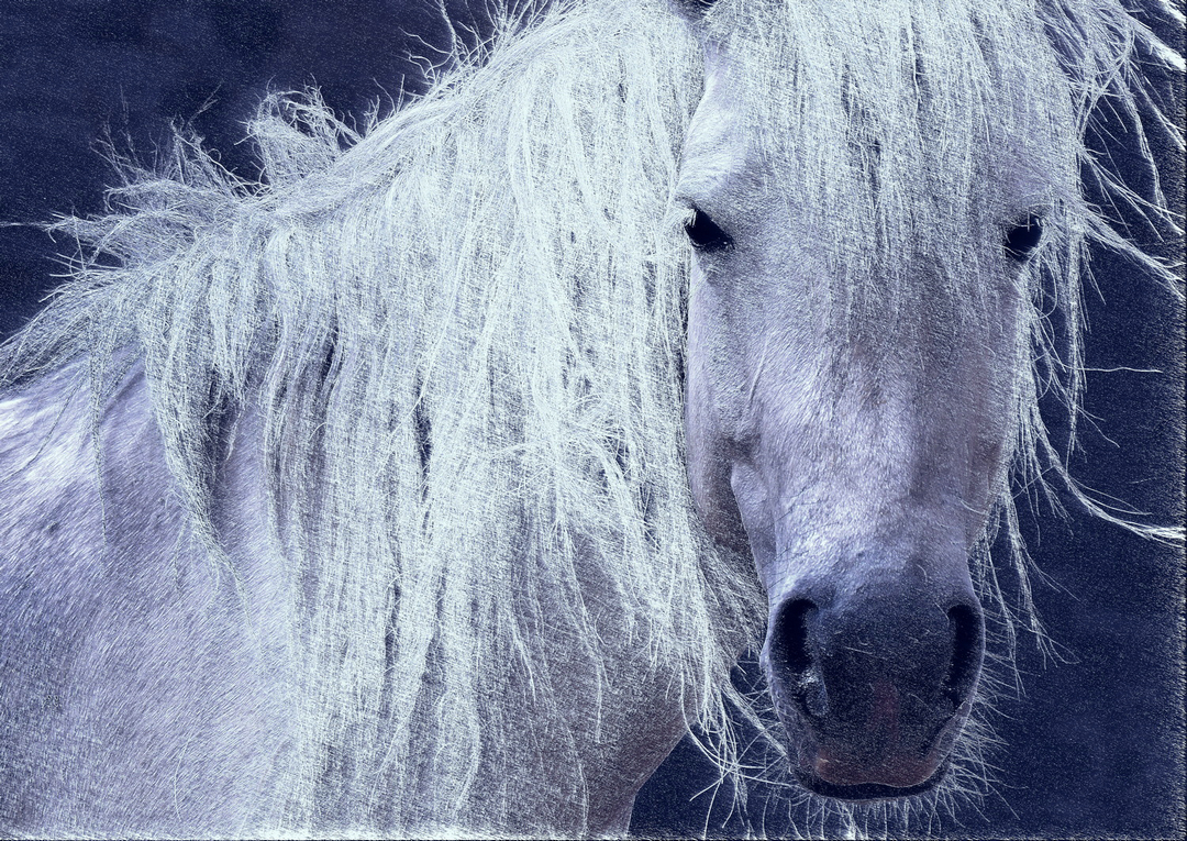 拍马都追不上的成语,拍马都赶不上的成语