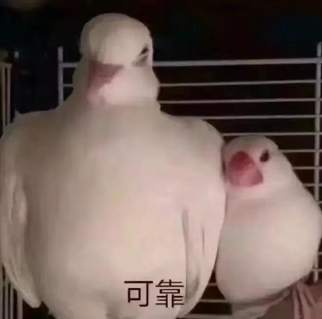 美丽废物包包推荐,美丽废物包平价