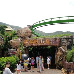 珠海长隆2天一夜吃住行攻略,珠海长隆两天一晚游攻略