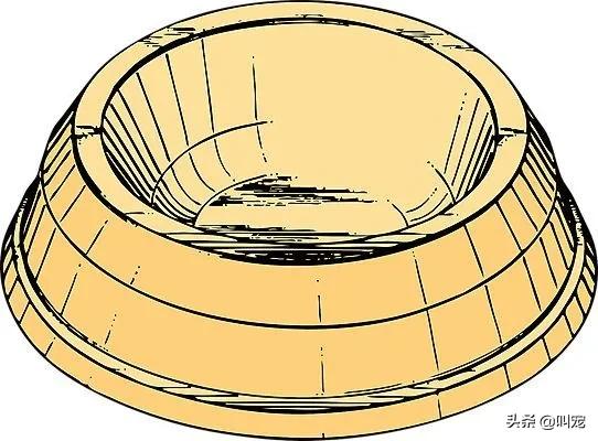 猫食碗每天都要清洗吗,猫咪碗盆脏了用什么洗