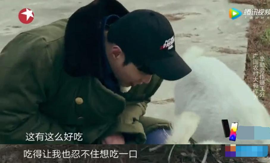 明星们也太爱智障人设了：徐璐分不清篮球和足球，包文婧不会算数