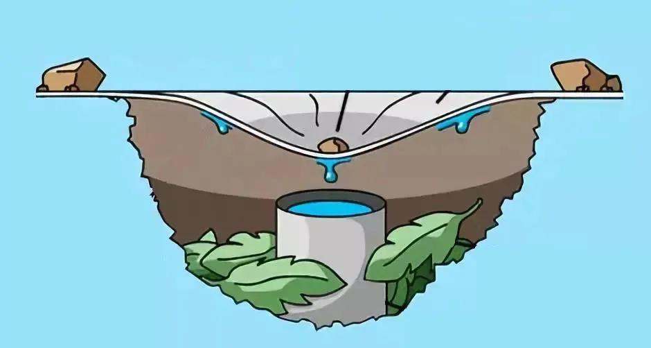 野外生存如何取水,野外生存取水怎么过滤瓶子