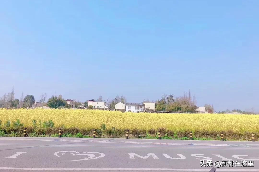 周末新都耍了一圈，朋友都以为我出了趟国