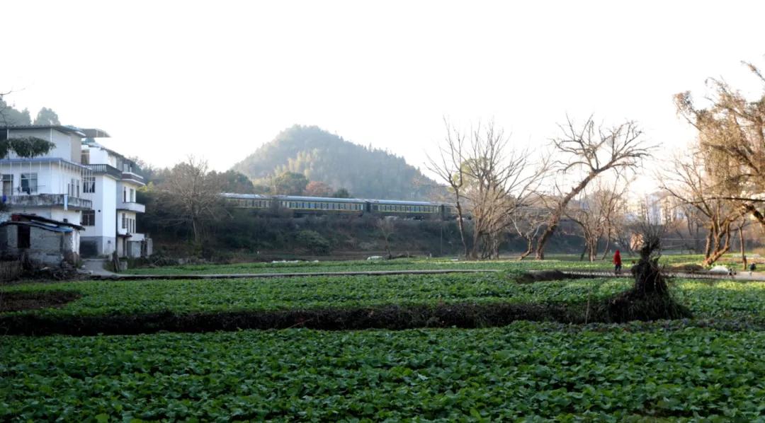 徽州篁墩,徽州篁墩篁岭