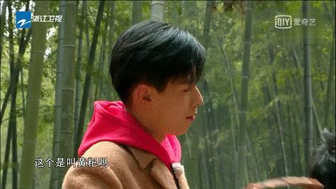 胡一天十大美食,胡一天吃货视频全集