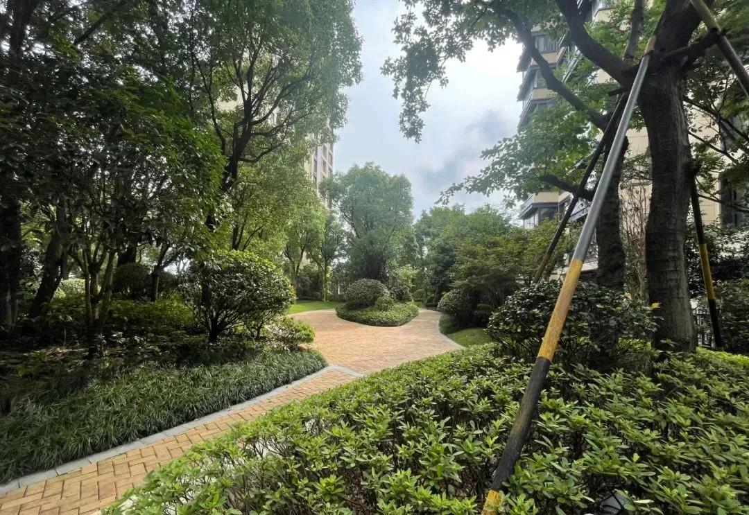 三湘海尚别墅户型图,张江三湘海尚户型图